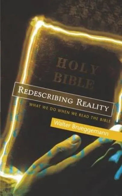 Redescribing Reality: What We Do When We Read the Bible - Paperback
