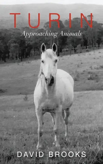 Turin: Approaching Animals - Paperback