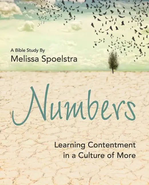 Numbers - Women's Bible Study Participant Workbook: Learning Contentment in a Culture of More - Paperback
