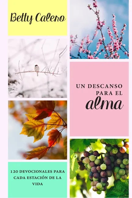 Un descanso para el alma: 120 devocionales para cada estación de la vida - Paperback