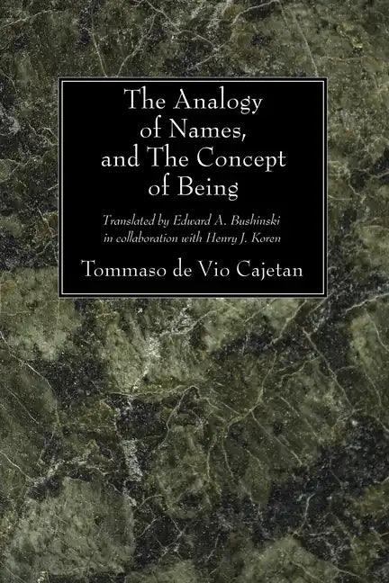 The Analogy of Names and the Concept of Being - Paperback