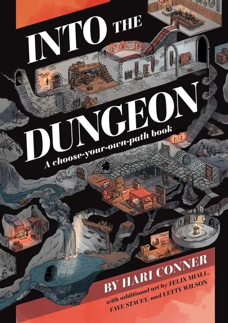 Into the Dungeon: A Choose-Your-Own-Path Book - Paperback