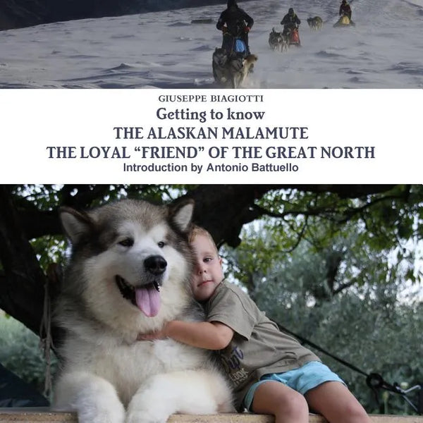 Getting to know THE ALASKAN MALAMUTE THE LOYAL ÒFRIENDÓ OF THE GREAT NORTH - Paperback