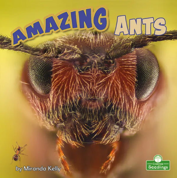 Amazing Ants - Library Binding