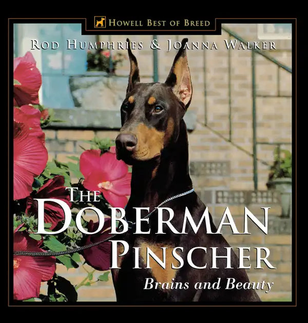 The Doberman Pinscher: Brains and Beauty - Paperback
