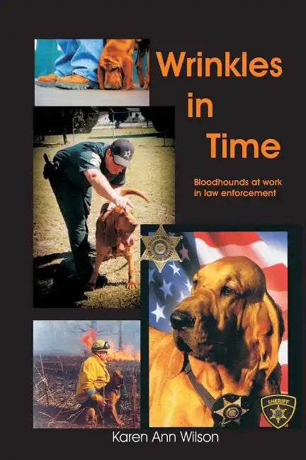 Wrinkles in Time - Paperback