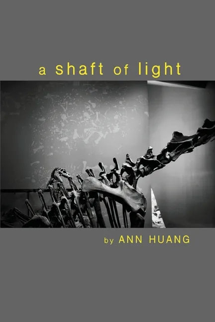 A shaft of light - Paperback
