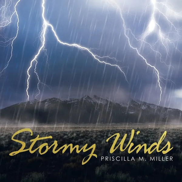 Stormy Winds - Paperback