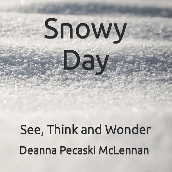 Snowy Day: See, Think and Wonder - Paperback