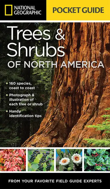 National Geographic Pocket Guide to Trees and Shrubs of North America - Paperback