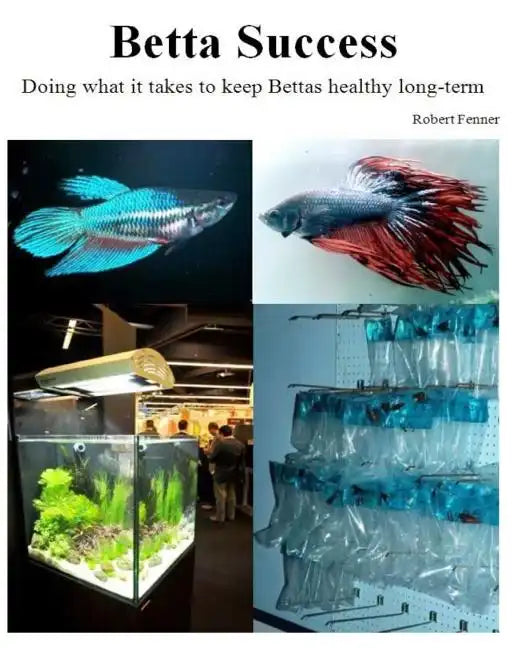 Betta Success: Doing what it takes to keep Bettas healthy long-term - Paperback