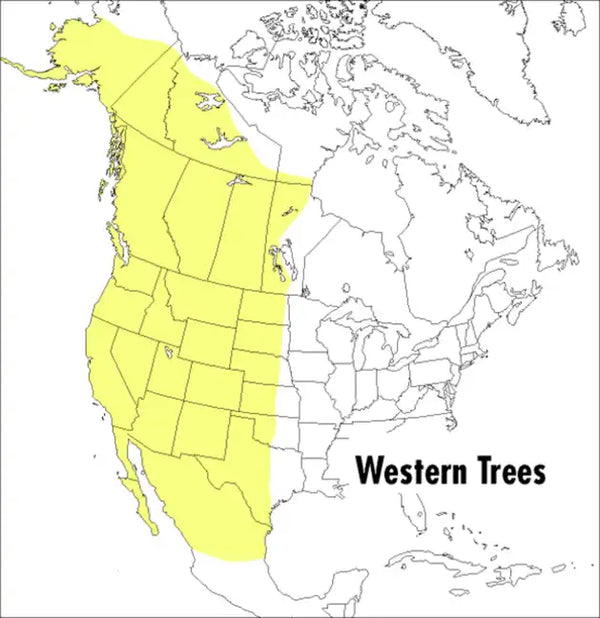 A Peterson Field Guide to Western Trees: Western United States and Canada - Paperback