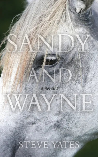 Sandy and Wayne - Paperback
