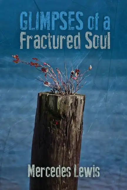Glimpses of a Fractured Soul - Paperback