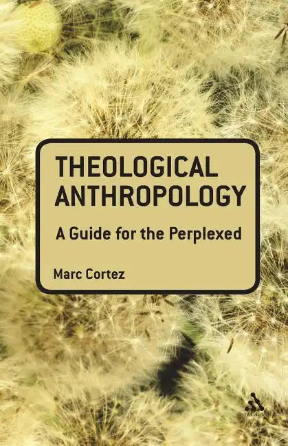 Theological Anthropology: A Guide for the Perplexed - Paperback