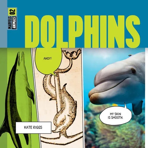 Dolphins - Paperback
