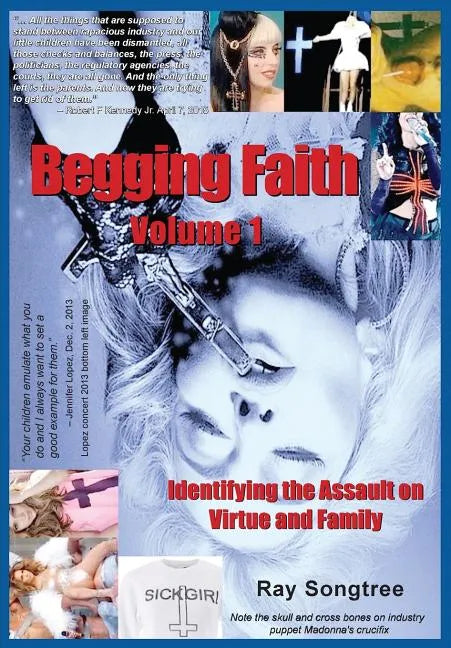 Begging Faith (Vol. 1, Lipstick and War Crimes Series): Identifying the Assault on Virtue and Family - Paperback