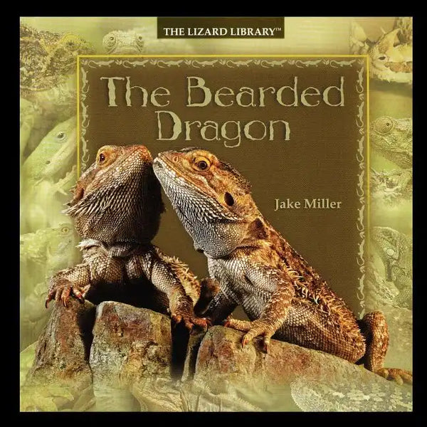 Bearded Dragon - Paperback