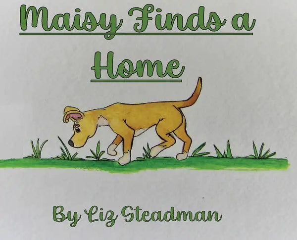 Maisy Finds a Home - Hardcover