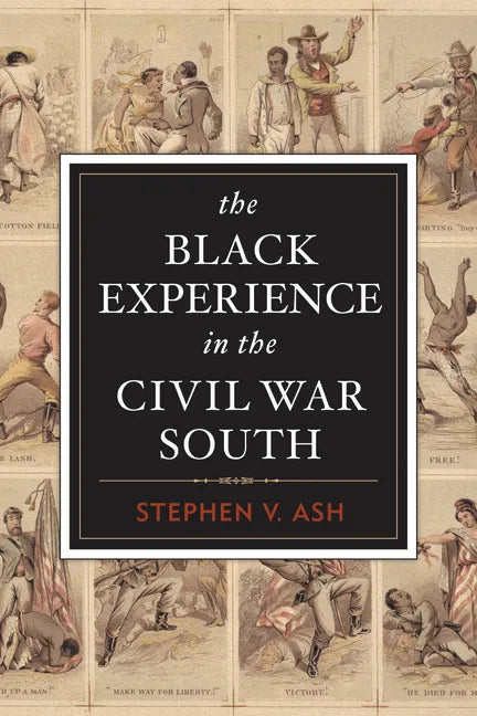 The Black Experience in the Civil War South - Paperback