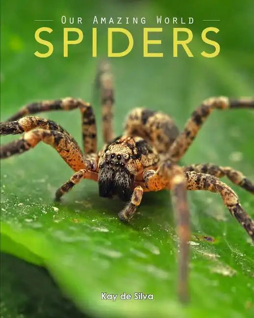Spiders: Amazing Pictures & Fun Facts on Animals in Nature - Paperback