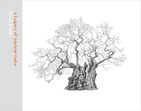 A Legacy of Ancient Oaks - Hardcover