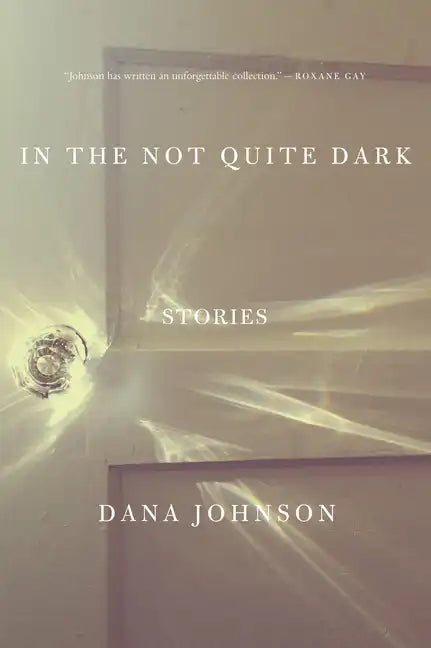 In the Not Quite Dark: Stories - Paperback