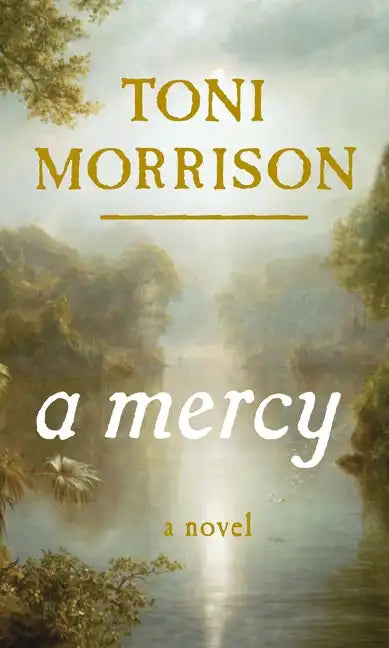 A Mercy - Hardcover