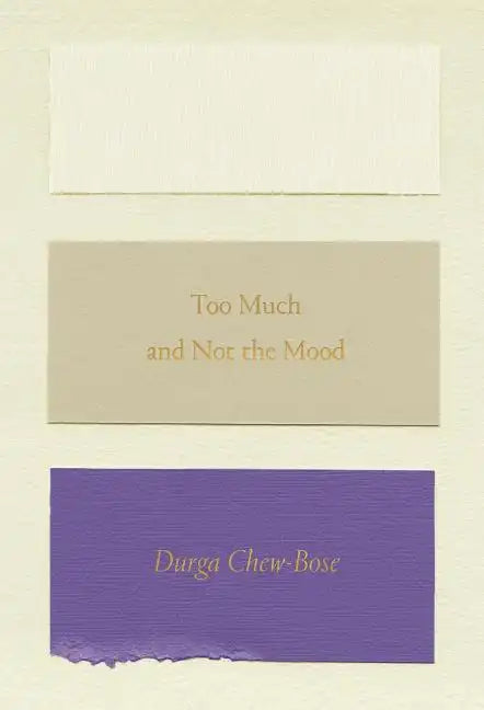 Too Much and Not the Mood: Essays - Paperback