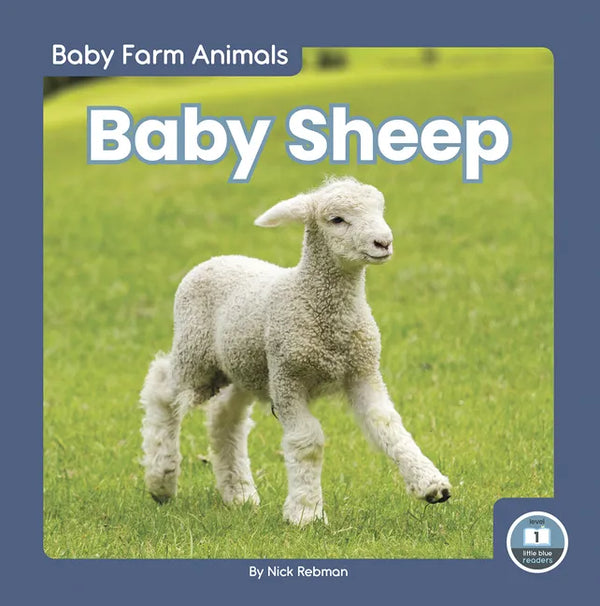 Baby Sheep - Library Binding