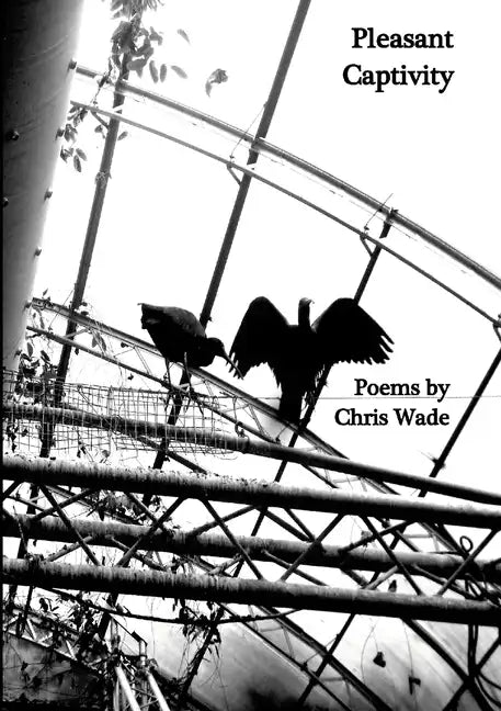 Pleasant Captivity - Paperback