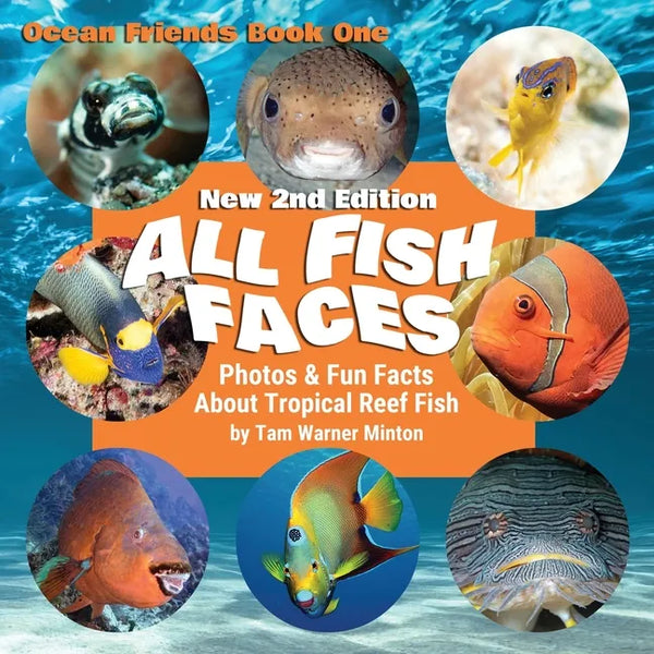 All Fish Faces: Photos and Fun Facts about Tropical Reef Fish - Paperback