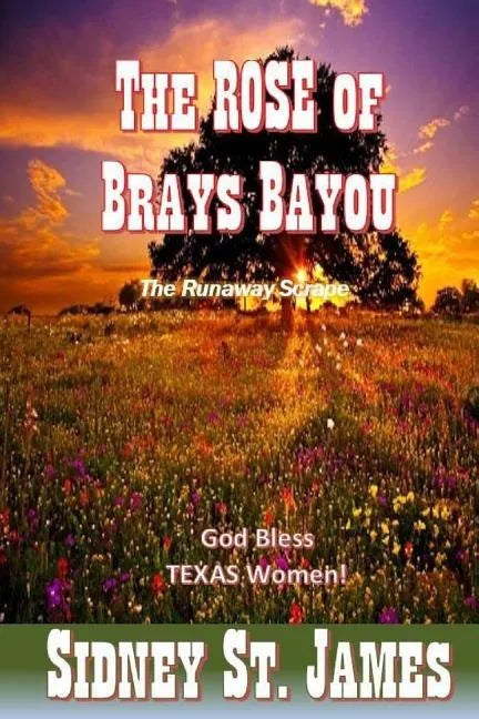 The ROSE of Brays Bayou: The Runaway Scrape - The Sabine Shoot - The Great Runaway - Paperback