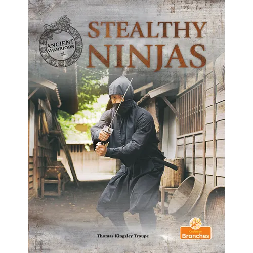 Stealthy Ninjas - Hardcover