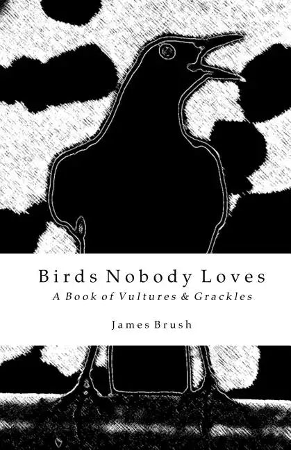 Birds Nobody Loves: A Book of Vultures & Grackles - Paperback