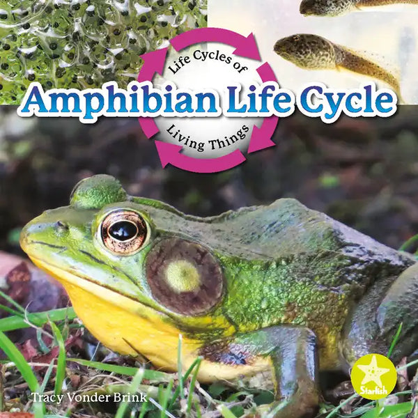 Amphibian Life Cycle - Paperback