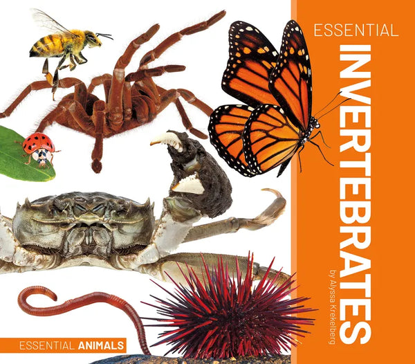 Essential Invertebrates - Library Binding
