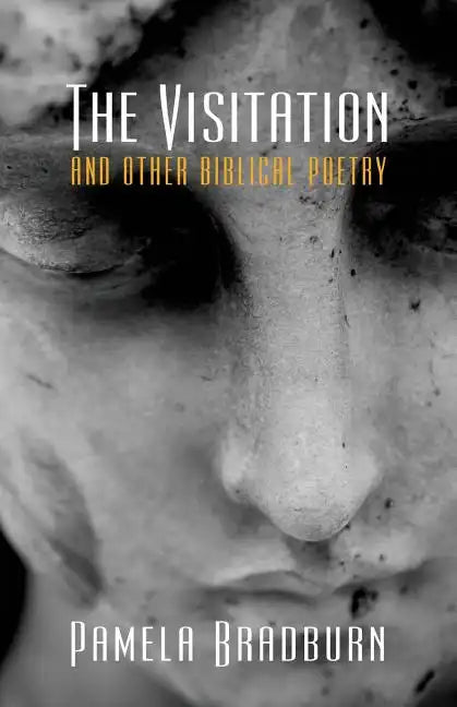 The Visitation and Other Biblical Poetry - Paperback