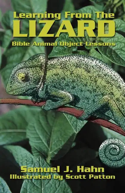 Learning from the Lizard - Paperback