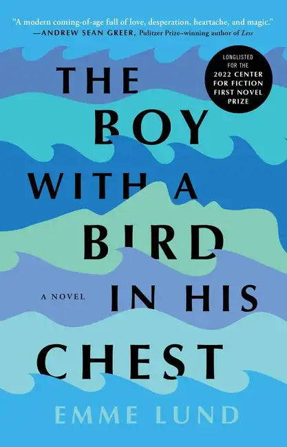 The Boy with a Bird in His Chest - Paperback