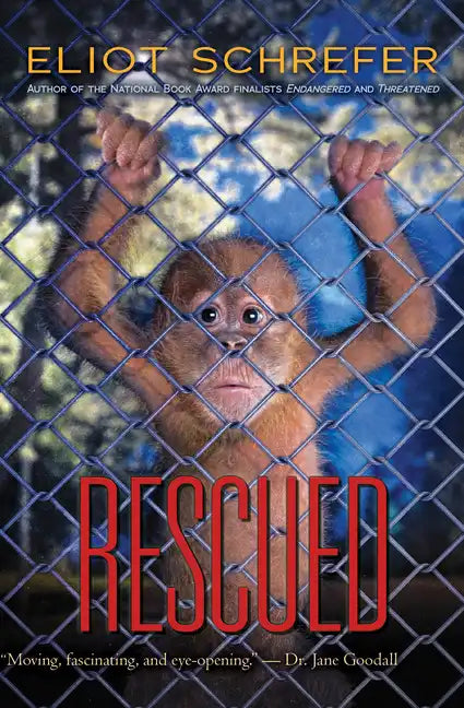 Rescued: Volume 3 - Paperback