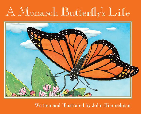 A Monarch Butterfly's Life (Nature Upclose) - Paperback
