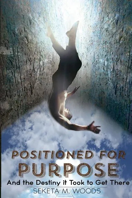 Positioned for Purpose: And The Destiny It Took To Get There - Paperback