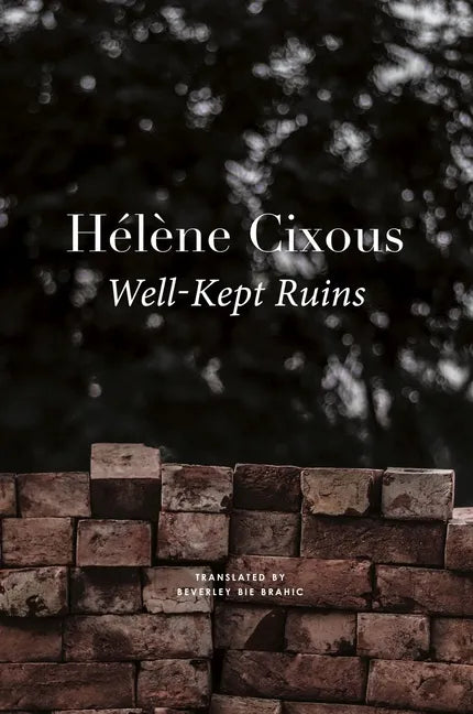 Well-Kept Ruins - Hardcover