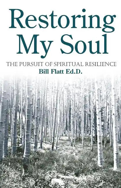 Restoring My Soul: The Pursuit of Spiritual Resilience - Paperback