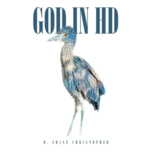 God in HD - Paperback