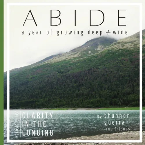 Clarity in the Longing: A Year of Growing Deep and Wide - Paperback