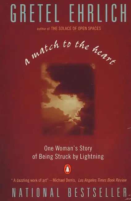 A Match to the Heart: One Woman's Story of Being Struck by Lightning - Paperback