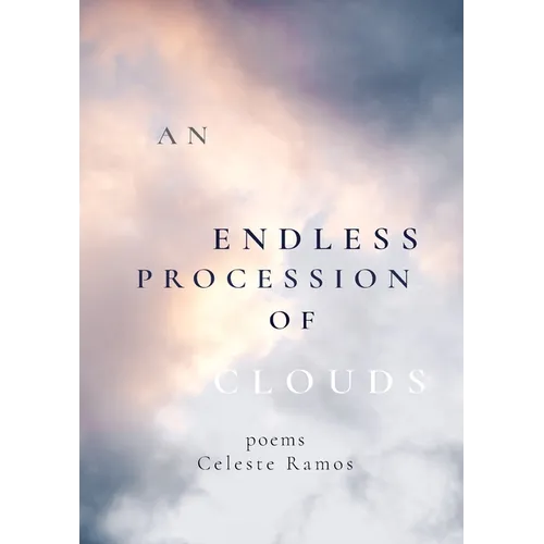 An Endless Procession of Clouds - Paperback