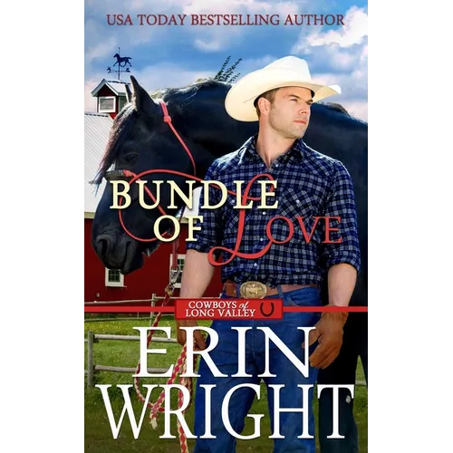 Bundle of Love: An Office Contemporary Western Romance - Paperback